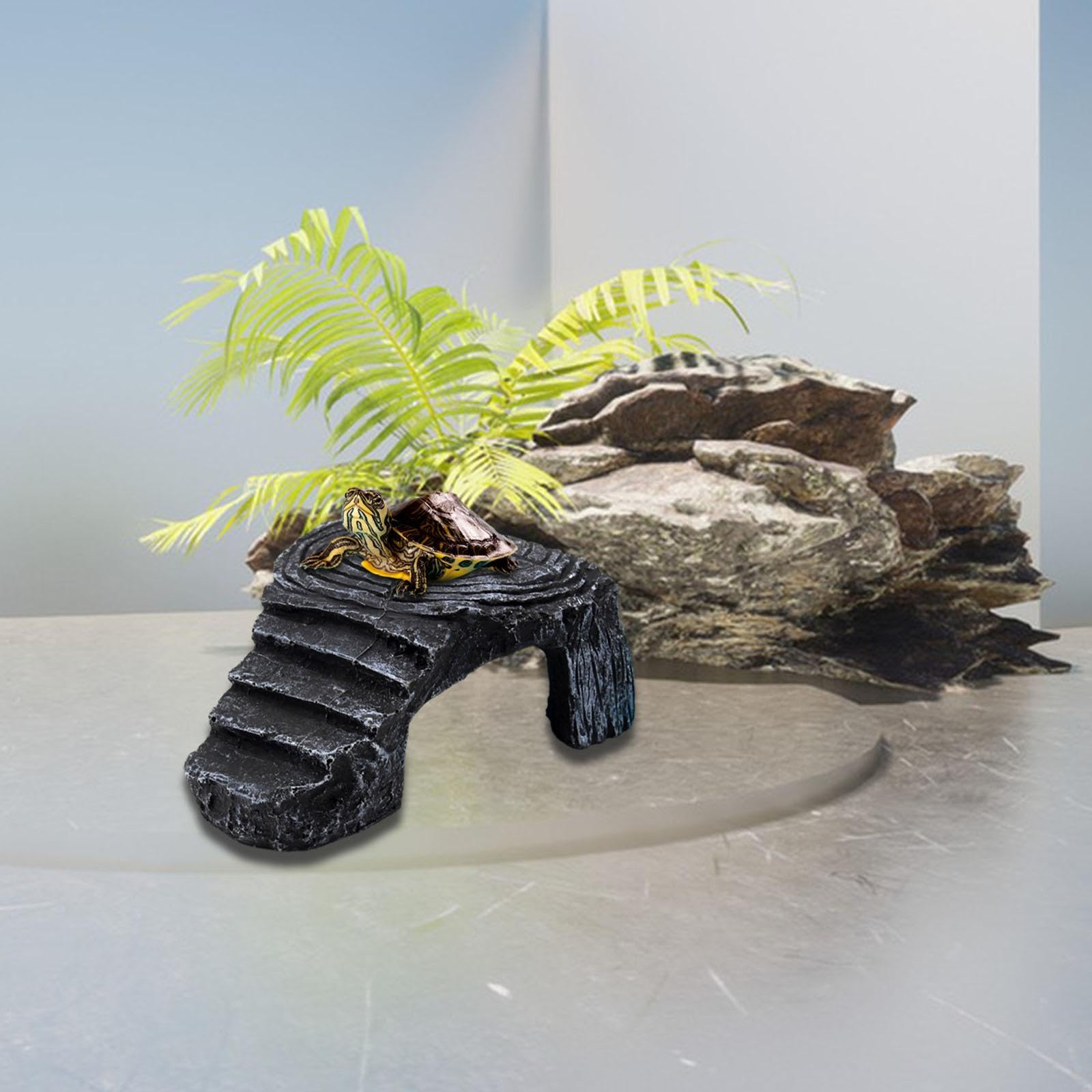 Amazon | KLKCMS 亀の休憩所 亀のスロープ 亀のテラス